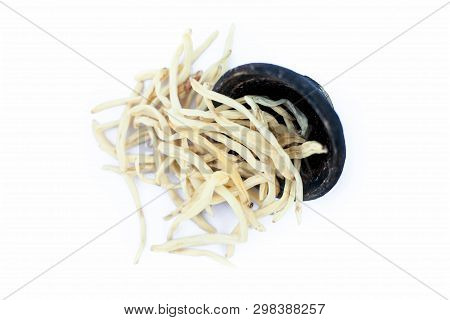 Close Up Of Popular Indian & Asian Ayurvedic Herb Isolated On White In A Clay Bowl I.e. Musli Or Saf