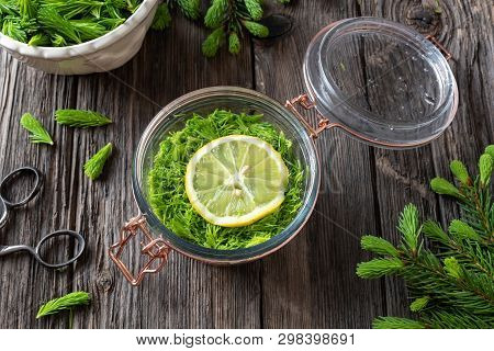 A Jar Filled With Young Spruce Tips, Lemon And Sugar, To Prepare Homemade Herbal Syrup Against Cough