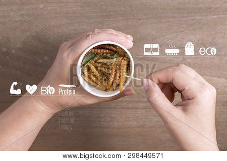 Bamboo Caterpillar Insects For Eating As Food In Disposable Cup With Icon Media Nutrition On Wood Ba