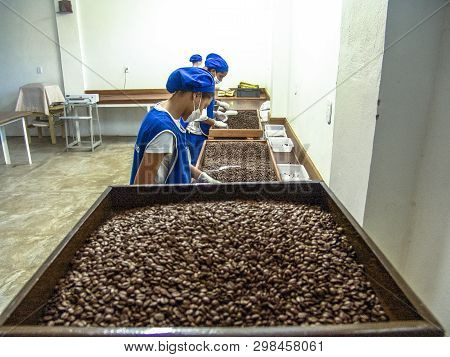 Mococa, Sp, Brasil. 01/04/2005. Coffee Roaster Production Line Of The Pessegueiro Farm In Mococa