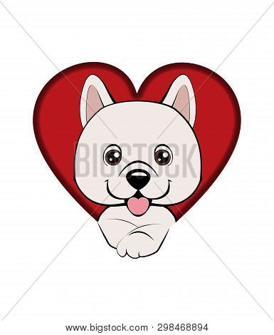 Dog Came Out Of A Hole. Eskimo Dog Or Spitz