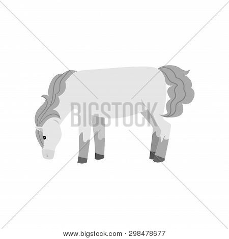 White Horse From Village Farm Eat Green Grass