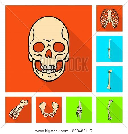 Isolated Object Of Bone And Skeleton Logo. Set Of Bone And Human Vector Icon For Stock.
