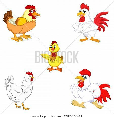 Cartoon Rooster Collection Set On White Background