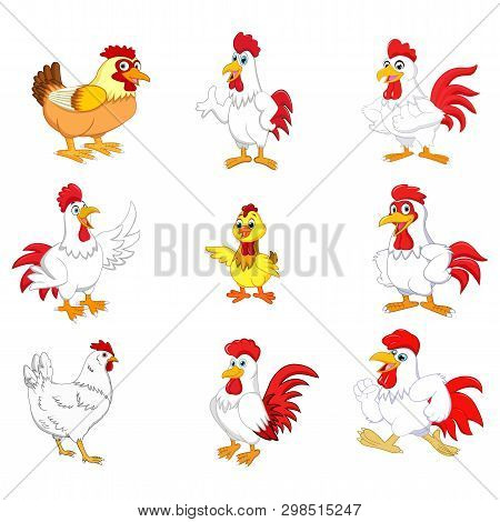 Cartoon Rooster Collection Set On White Background