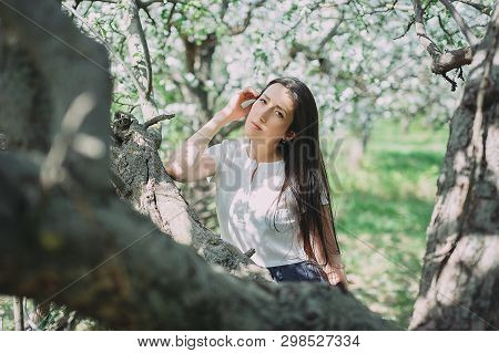 Beautiful Girl Posing In The Blooming Garden. Apple, Cherry