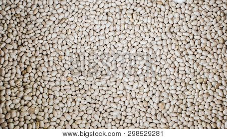 Dry Phaseolus Kidney Bean Texture, Full Frame