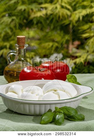 Twisted To Form A Plait Treccia Mozzarella Italian Soft Cheese Served With Fresh Basil And Tomatoes