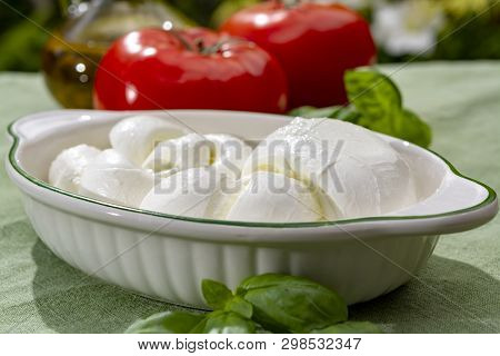 Twisted To Form A Plait Treccia Mozzarella Italian Soft Cheese Served With Fresh Basil And Tomatoes