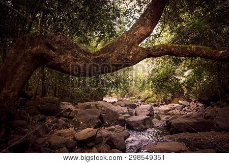 Road To Dudhsagar Waterfall. Goa, India. Brooks In The Vicinity Of The Dudhsagar Falls