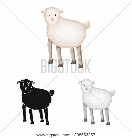 Vector Design Of Sheep And Anima Icon. Collection Of Sheep And Lamb Stock Vector Illustration.