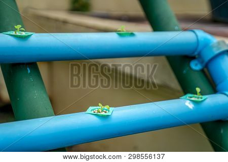 Vertical Hydrophobic Farming Structure In The Organic Gardening Outdoor.