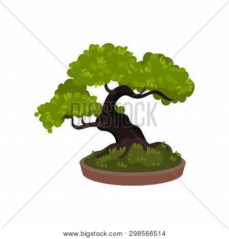 Bonsai Tree In A Pot. Vector Illustration.