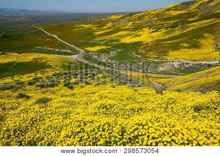 Carrizo Plain National Monument Covered In Wildflowers During A California Spring Superbloom