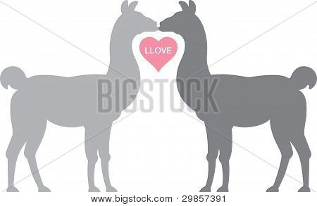 Lama in Llove