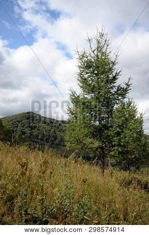 Mountain Landscape In The Vicinity Of The Taiga Village Generalka Altai Territory In Western Siberia
