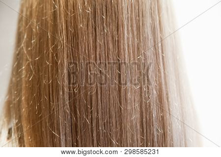 Girls Hair Vertically From Back Painted, Close Up Long Straight Blonde Female Hair