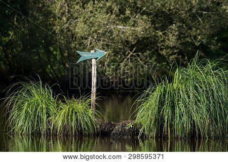Green Arrow On A Wooden Pole In The Briere Marsh (france)
