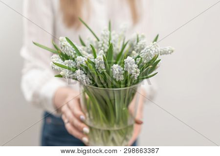 Bouquet Of White Muscari Flowers In Glass Vase In Woman Hands. Spring Bulbous Flowers. Flower Shop C