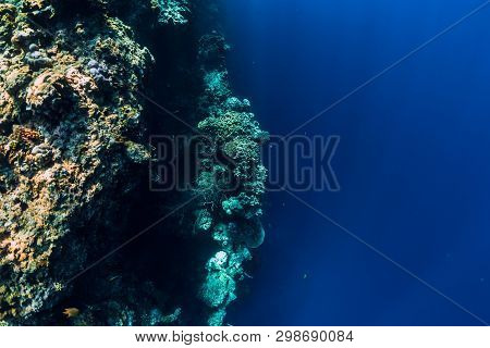 Underwater View With Rocks And Corals In Blue Ocean. Menjangan Island, Bali