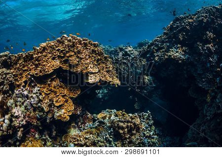 Underwater View With Rocks And Corals In Blue Ocean. Menjangan Island, Bali