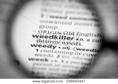 Word Or Phrase Weedkiller In A Dictionary. Great Photo For Your Needs.
