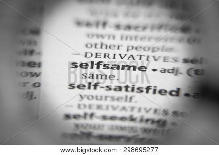 Word Or Phrase Selfsame In A Dictionary. Great Photo For Your Needs.