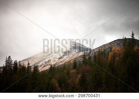 Misty Autumn Morning In The Carpathian Mountains
