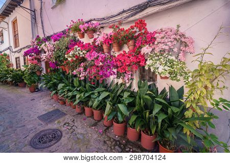 Street Full Of Flowerpots On The Floor And The Walls, In Spain