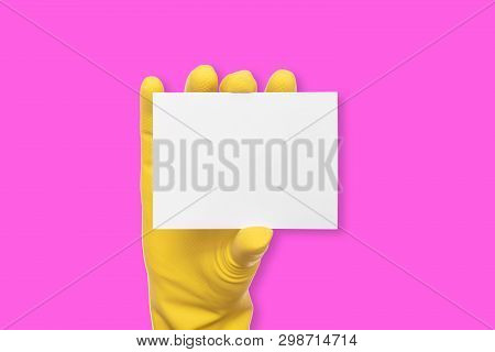 A Rubber-gloved Hand Holds A White Blank Business Card On A Pink Background.