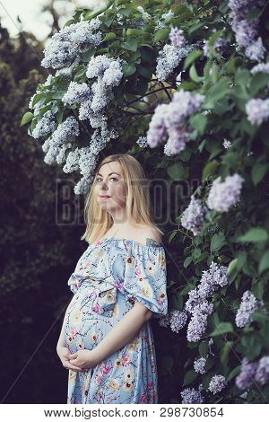 Spring Mood, Beautiful Pregnant Woman Smell Flowering Tree, Enjoying Nature, Pink Floral Garden. Fut