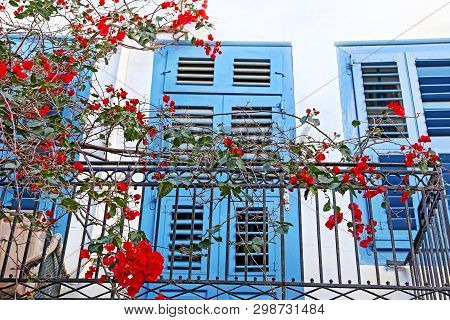 Traditional Windows With Bougainvillea Flowers At Nafplio Argolis Greece