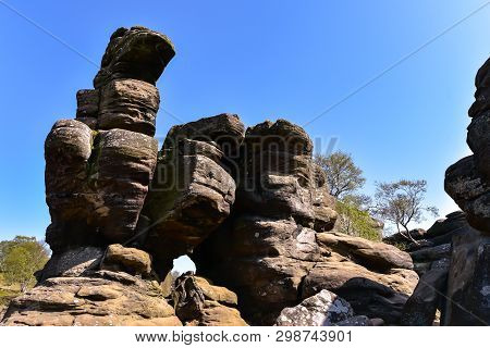 National Trust  Brimham Rocks On Brimham Moor Near Pateley Bridge In Yorkshire Dales National Park