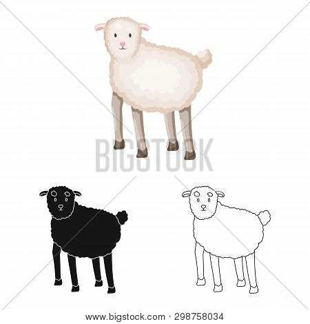 Vector Design Of Sheep And Anima Icon. Collection Of Sheep And Lamb Stock Vector Illustration.