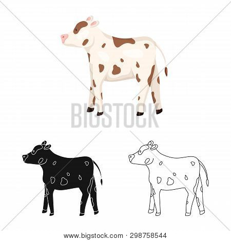 Isolated Object Of Cow And Heifer Symbol. Collection Of Cow And Milk Stock Symbol For Web.