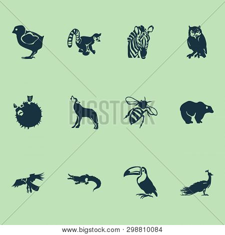 Animal Icons Set With Crocodile, Eagle, Owl And Other Globefish Elements. Isolated  Illustration Ani
