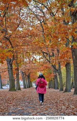 Woman Walking Among Colorful Red And Yellow Foliage Trees In Garden During Autumn At Wilhelm Külz Pa