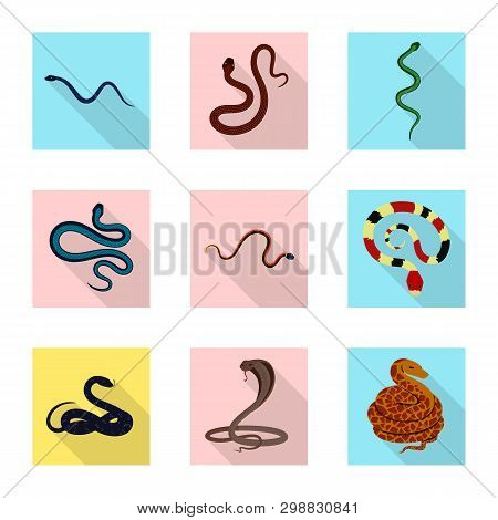 Vector Design Of Skin And Reptile Logo. Collection Of Skin And Danger Vector Icon For Stock.
