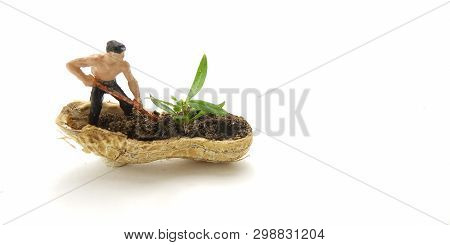 Conceptual Illustration, Keep Struggle, Mini Figure Man Farming At Limited Area, Peanut Skin, With W