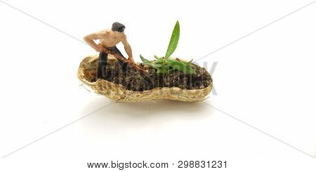 Conceptual Illustration, Keep Struggle, Mini Figure Man Farming At Limited Area, Peanut Skin, With W