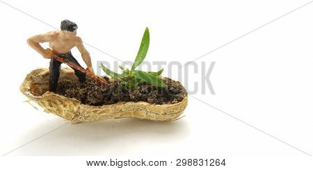 Conceptual Illustration, Keep Struggle, Mini Figure Man Farming At Limited Area, Peanut Skin, With W