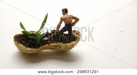 Conceptual Illustration, Keep Struggle, Mini Figure Man Farming At Limited Area, Peanut Skin, With W