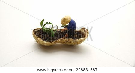 Conceptual Illustration, Keep Struggle, Mini Figure Man Farming At Limited Area, Peanut Skin, With W