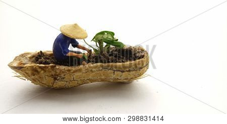 Conceptual Illustration, Keep Struggle, Mini Figure Man Farming At Limited Area, Peanut Skin, With W