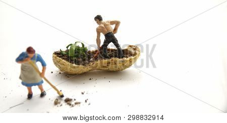 Conceptual Illustration, Keep Struggle, Mini Figure Man Farming At Limited Area, Peanut Skin, With W