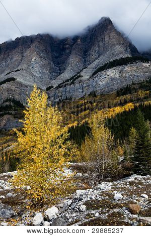 Rocky Mountain
