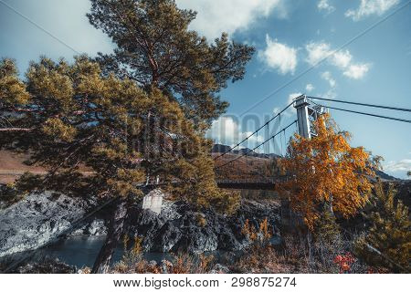Autumn Landscape: Cliffy Waterfront, Cedar Or A Pine Tree In The Foreground, Suspension Bridge And A
