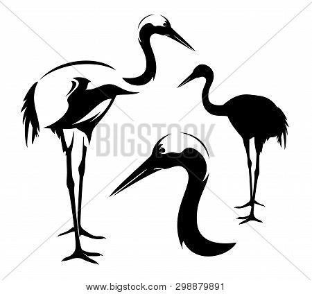 Standing Japanese Crane - Bird Head, Outline And Black Vector Silhouette