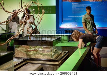 Montreal, Canada, September 5, 2018: Insectarium, In A Botanical Garden With Visitors Who Watch And 