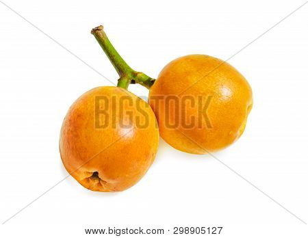 Close-up View Of Some Fresh And Juicy Loquats (eriobotrya Japonica) Isolated On  White Background. H